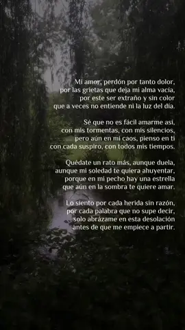 “Quédate un rato más”  poema hecho por mi  . . . . . <El video de fondo no es mio> #ideavilariño #poema #Amor #perdón #fyp 
