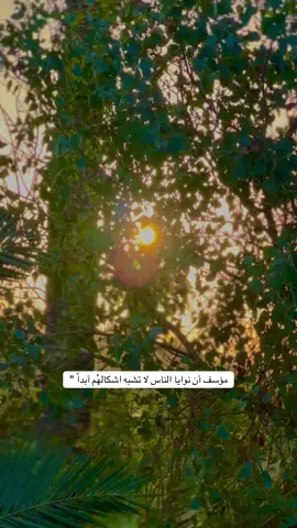 متابعة لحساب بلا زحمة شباب 🖤📷