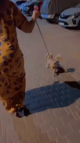 #الشعب_الصيني_ماله_حل😂😂 #اربيل_العراق_كوردستان_ديالى_بغداد #العراق🇮🇶❤️ 