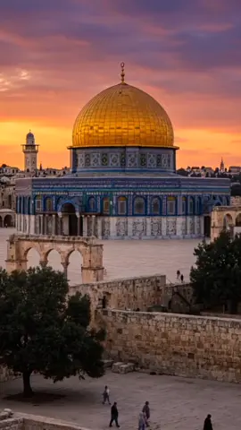 Masjid Al-Aqsa  a place of deep history, peace, and light. May hearts around the world stay connected to this sacred land. A reminder of our unity, beauty, and timeless faith. 🕌✨ #AlAqsaMosque #DomeOfTheRock #HolySanctuary #IslamicLandmarks #SpiritualVibes #MosqueMoments #SacredArchitecture #FaithAndPeace #IslamicVisuals #UnityOfUmmah #SacredSpaces #GlobalUmmah #DivinePeace #timelessfaith 