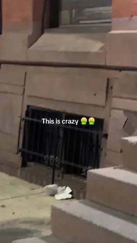 #viralvideo #foryoupage #philly #nast #bugs 
