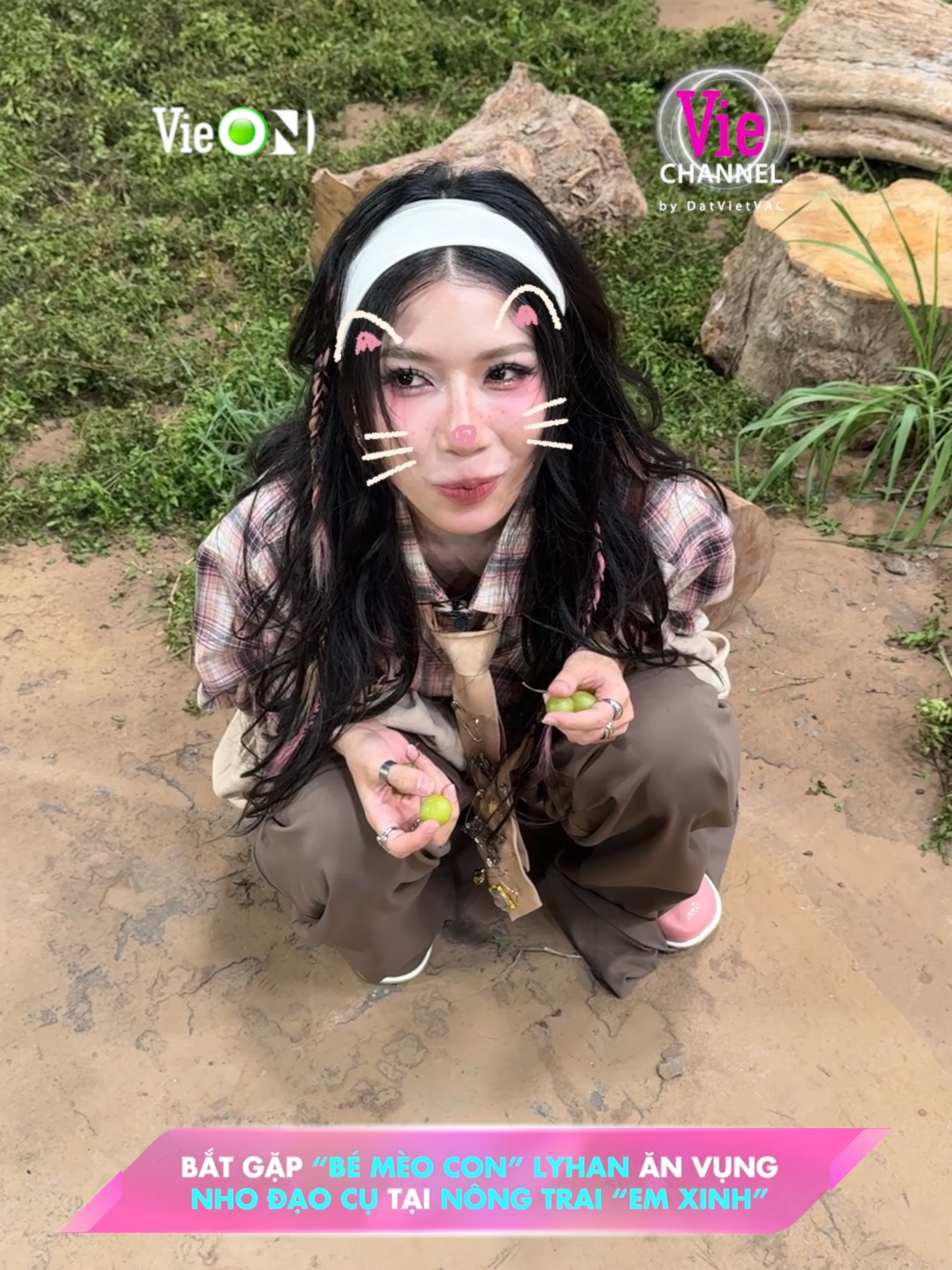 +1 mèo con thích ăn nho ở nông trại Em Xinh 