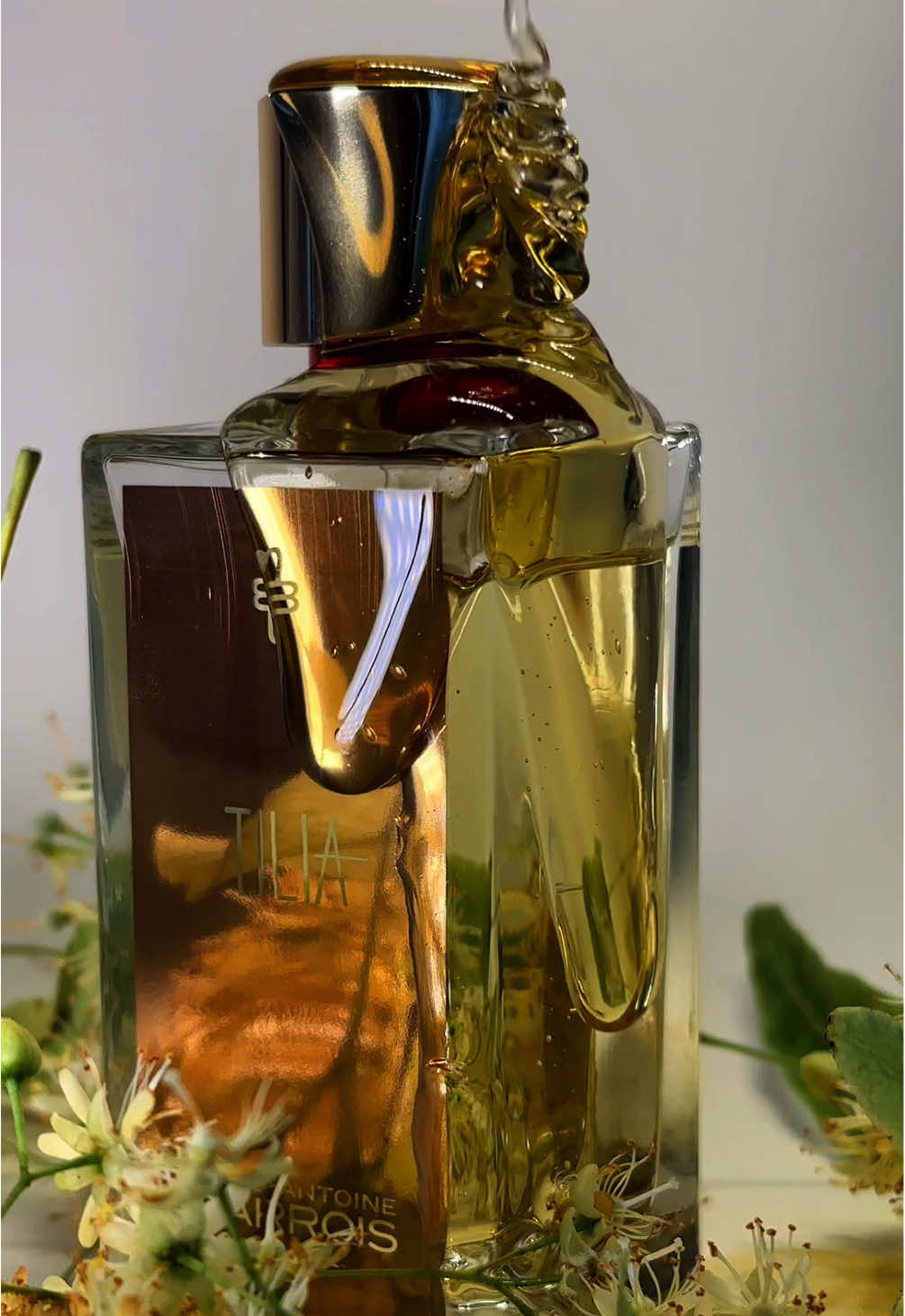 💛Marc-Antoine Barrois Tilia💛— это настоящий солнечный взрыв радости и лёгкости в мире ароматов! Свежие цветочные нотки липы словно приглашают окунуться в тёплый летний день, наполненный сверкающим светом и улыбками. Яркое, искрящееся звучание раскрывается мягкой древесной теплой базой, которая окутывает ваше настроение уютом и позитивом. Этот парфюм — словно глоток свежего воздуха и источник бодрости, который ассоциируется с улыбками, счастьем и бесконечным оптимизмом. Tilia — лучший выбор для тех, кто любит встречать день с улыбкой и делиться своей энергией с окружающими. ☀️Заряжает позитивом на весь день   ☀️Лёгкий и жизнерадостный   ☀️Идеален для дневного образа и ярких впечатлений Хотите подарить себе настроение солнца? Помогу подобрать лучший вариант парфюма именно для вас! Верхние ноты: Липовый цвет, Жасмин Самбак и Дрок;  Средние ноты: Гелиотроп, Ветивер и Цветок апельсина;  Базовые ноты: Ambrofix™ и Georgywood. Доступен в формате распива 2 мл, 5 мл, 10 мл. ##парфюм##парфюмнараспив##духинараспив##ароматы##духи##нишеваяпарфюмерия##нишеваяпарфюмериянараспив##распивдухов#распивпарфюма 