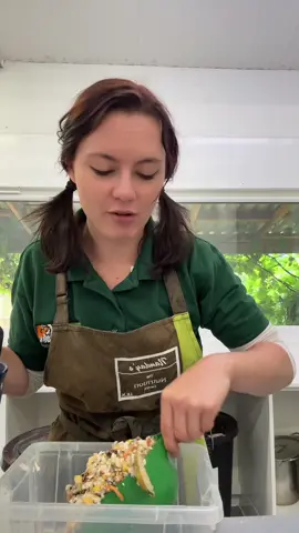 Mash a la parrot 🦜  #fyp #foryou #parrotsoftiktok #parrot #lwp #lincolnshirewildlifepark  #parrotfood #STEM #stem 