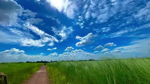 বেশি ভাগ মানুষের ভালোবাসা বিচ্ছেদ হয় 🥲❤️‍🩹#almgirkhan87 #foryou #foryoupage #tending #fypage #edit #vairal @For You @TikTok 