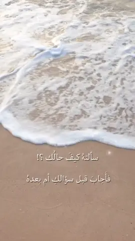 #كلام_من_القلب #الحب💖💕 #شارع_الاعشى 