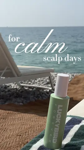 skincare for your scalp🫧 Don’t forget to protect your hair like your skin this summer 🌊 #Summer #skincare #haircare #watermelonoil #amlaoil 