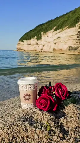 ‏أعان الله نَفسًُ بكت من فرط ما تشعُر به . #اقتباسات #عبارات #pyfツ #fyp #foryou #fypシ゚viral #viral #foryoupage #fypシ #حطولي_قلب_احمر❤ #اعادة_النشر🔃 