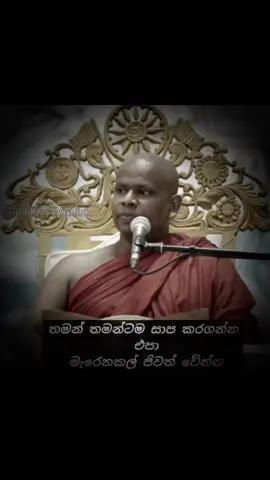 අහන්න...🤍🌿|Buddhas wisdom |#creatorsearchinsights #viral #fypシ #foryoupage #1millionaudition #trending 