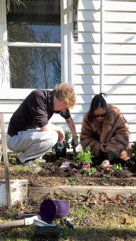 Spending a lot more time in the country slowing down on weekends. Let me know if you have any gardening tips <3