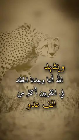 مساء الخير #عبارات #تصميم_فيديوهات🎶🎤🎬 #اكسبلور 