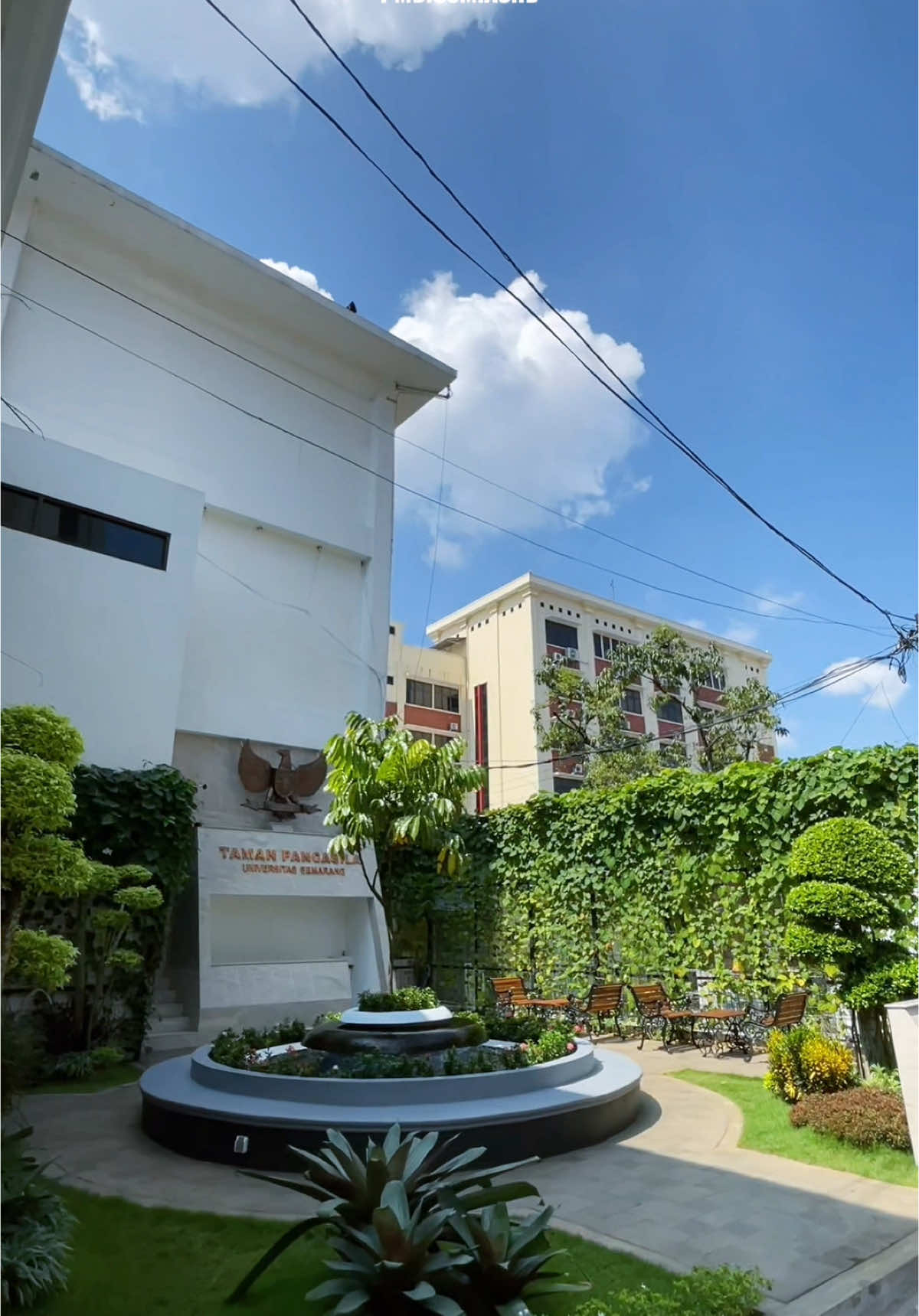 Bingung mau kuliah di mana? Ngapain bingung kalo udah ada yang pasti? Universitas Semarang jawabannya🥰🥰🥰🤏🏻