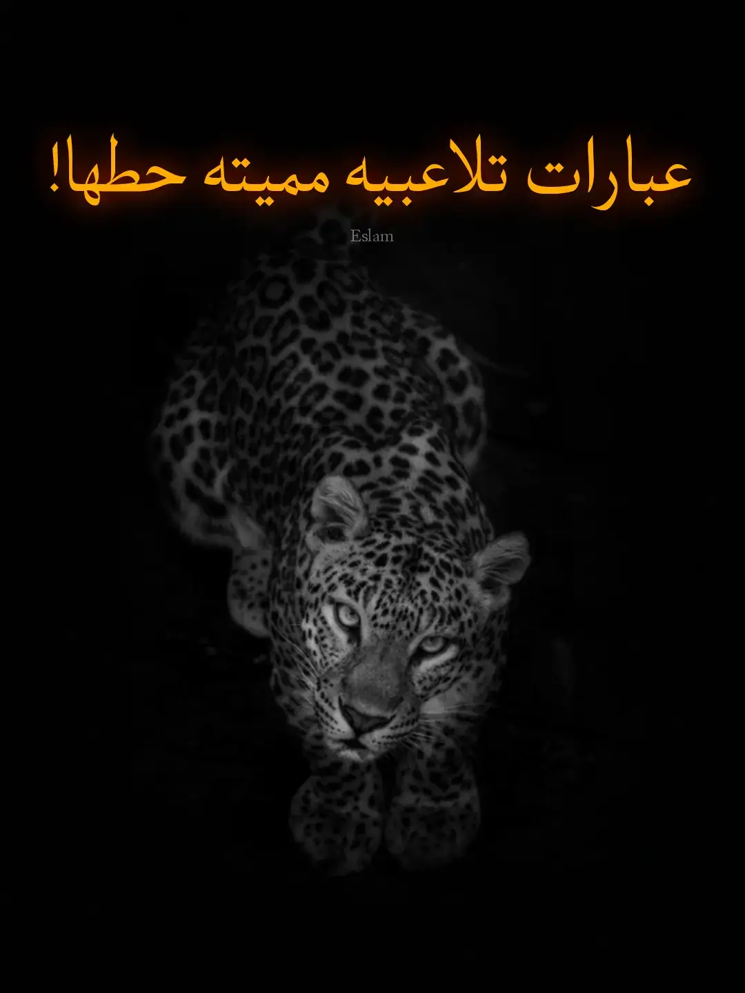 يعجبني رأيكم😔🔥🖤ماافضل عباره اعجبتك🖤🔥😔#fyp #لاتبخلون__علينا🎩🥀 #فخامه #Eslam #ملك_العبارات👑🖤 #نرجسيه🖤🌸 #عباراتكم_الفخمه📿📌 #عبارات_Eslam 