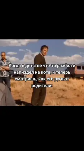 Только ругали,  и чугунной ванны с 12 этажа тоже не было. Лучшие фоны только у меня ☝️ #кот #родители #ругали #наврал #котик #животные #смотришь 