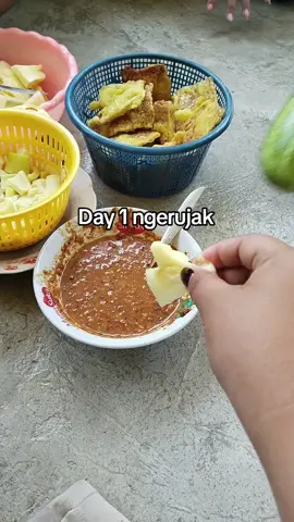 the Big bonteng😭