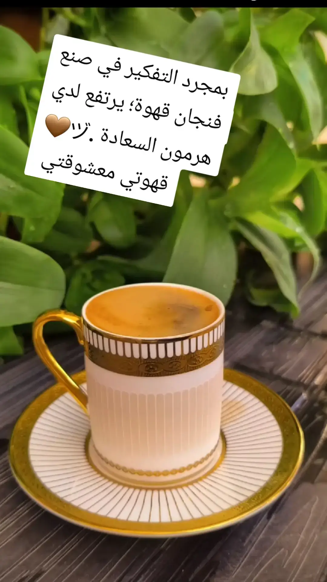 صباحو ياقهوتي #قهوتي_معشوقتي #هاشتاقات_تيك_توك_العرب 