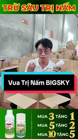 COMBO TRỪ SÂU TRỊ NẤM BIGSKY + TOP1