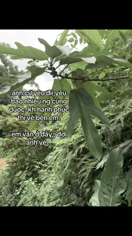 #luongkhanhlinh #xhh #xuuhuong #xhhhhhhhhhhhhhhhhhhhhhhh 