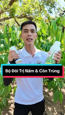 Bộ Đôi Trị Côn Trùng Phòng Nấm Bệnh Trên Cây Cà Phê