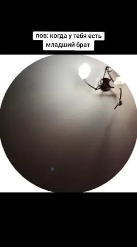 #fyp #recomendation #fypシ #creatorsearchinsights #fypシ #fyp #fyp #recomendation #recommendations #foryoupage #ballerina #onthisday 