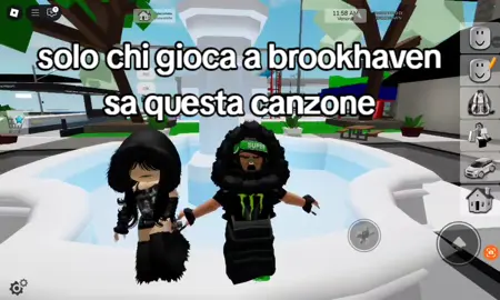 #voliamoneiperte✈️✈️🦁a360gradi #viralplss #skin #roblox #brookhaven #music
