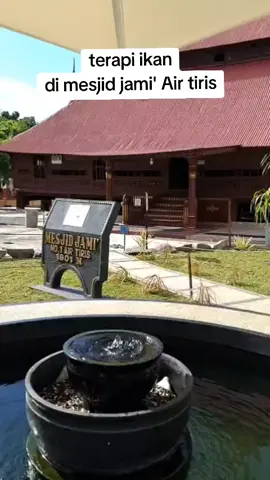 terapi ikan di mesjid jami' air tiris . . . . #ikangararufa #terapiikanviral #mesjidjami#kampar_tiktok #airtiris #manfaatterapiikan 