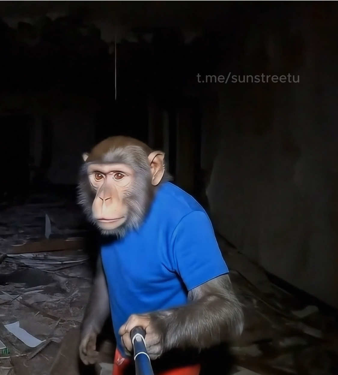 КостянБибизян на заброшке ! Ghost👻  VLOG - часть 5 #II #ии #veo3 #monkey #костянбибизян #бибизянкостян #fyp #Обезьяна #horror #Влог #ghostbusters #Украина