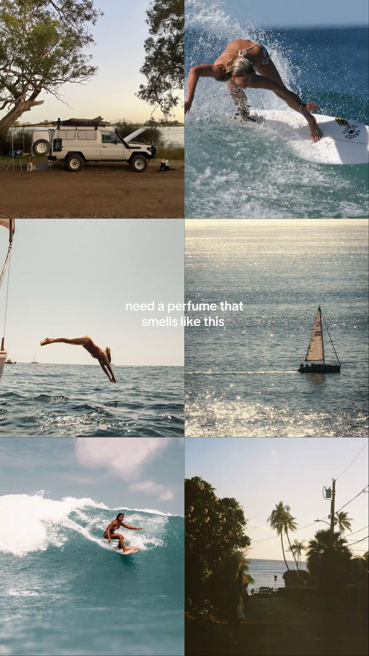 Anyone have any recommendations!! #fyp #vintage #surfing #viral 