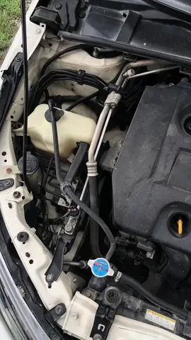 Cleaning Engine Bay Toyota Grandy Before After Detailing 🧼🚿#autodetailerpro #detailing #carwash #carsoftiktok #detailingworld #cleaning #beforeafter #foryou #foryoupage #fyp 