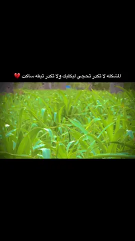 #الشعب_الصيني_ماله_حل #الرضوانيه #ستوريات #حزينه #اكسبلور #المشكله لا تكدر تحجي لبكلبك ولا تكدر تبقه ساكت 