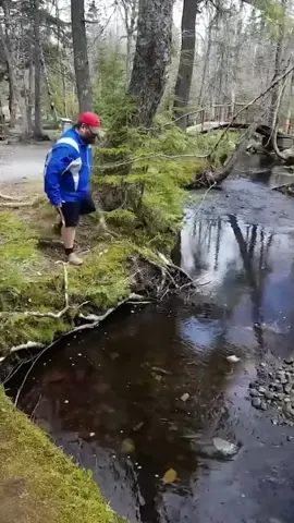 Interesting failure#fail #fails #funnyfail #failsoftiktok #trynottolaugh #baseball #baseballfail #fyp