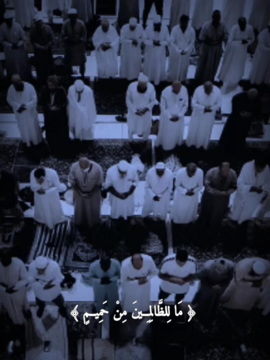 وَأَنذِرْهُمْ يَوْمَ الْآزِفَةِ إِذِ الْقُلُوبُ لَدَى الْحَنَاجِرِ كَاظِمِينَ #اذكار #تلاوات #تلاوة #ارح_قلبك_المتعب_قليلاً🤍💫 #قران_كريم_ارح_سمعك_وقلبك♡ #القرآن_الكريم #ارح_سمعك_بالقران #منصور_سالمي #عبدالرحمن_مسعد 
