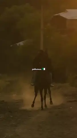 #خيل_وخياله🐎 #الجزائر🇩🇿 #بنت_الجزائر_الفارسة #russian #🇷🇺🇷🇺🇷🇺 