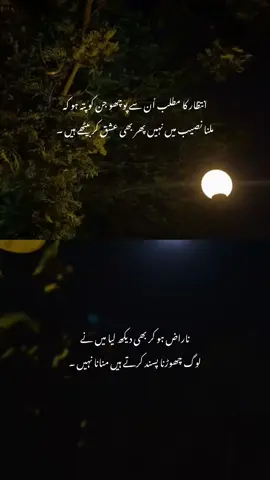 #fyp 
