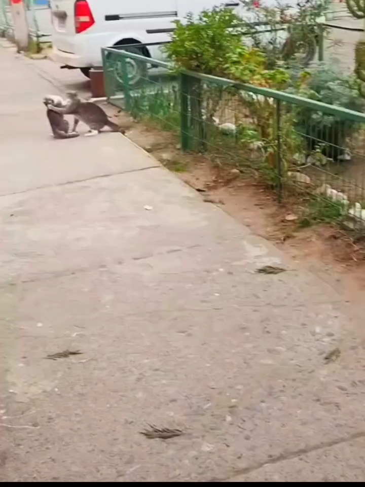 Ситуация