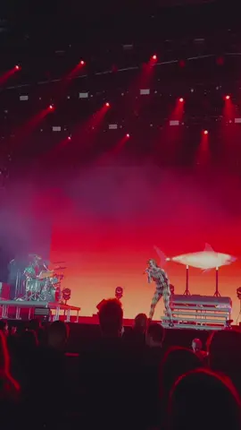 Merol - rock werchter #Belgium #fyp #2025 #festivalseason #merol 