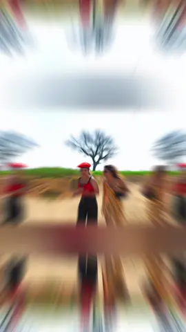 Por un vestido destruyeron toda su cosecha