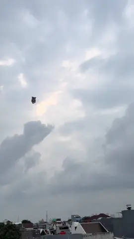 Sumpah ini bocah pada ngeselin banget ga liat apa itu layangan hias 😭😭😭😭 #layanganhias #bukanbuatngadu #bocahngeselin #kampret 