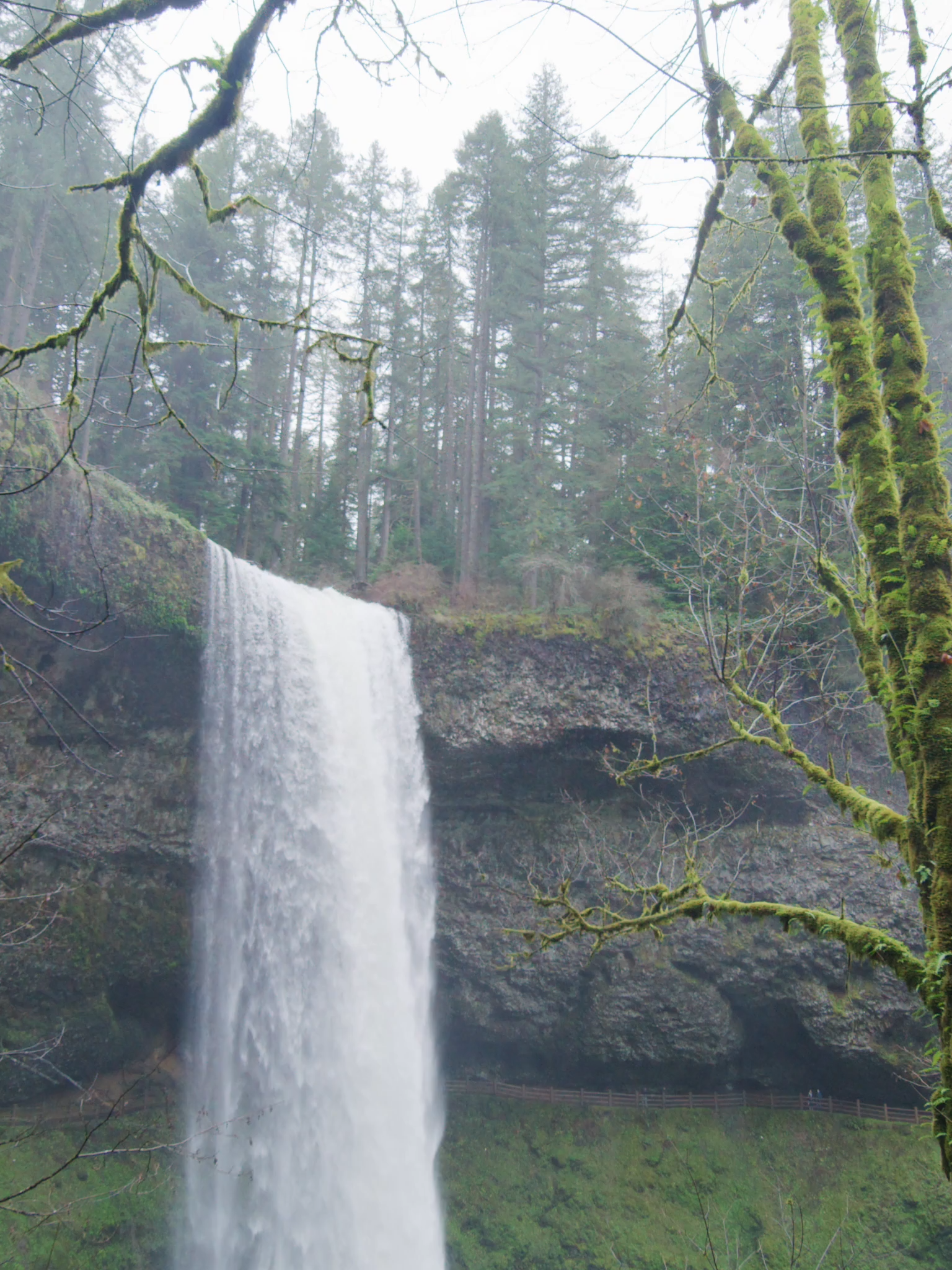 waterfall #altest0707