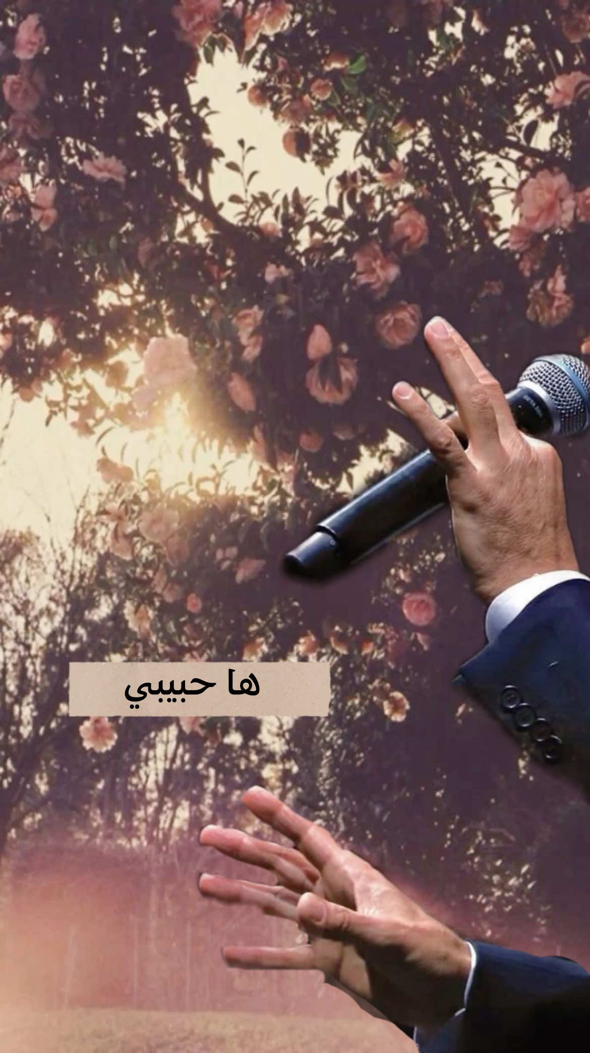 هواي نشرت على هاي الاغنية. #ها_حبيبي #كريم_العراقي #كلام #شعر #اغاني 