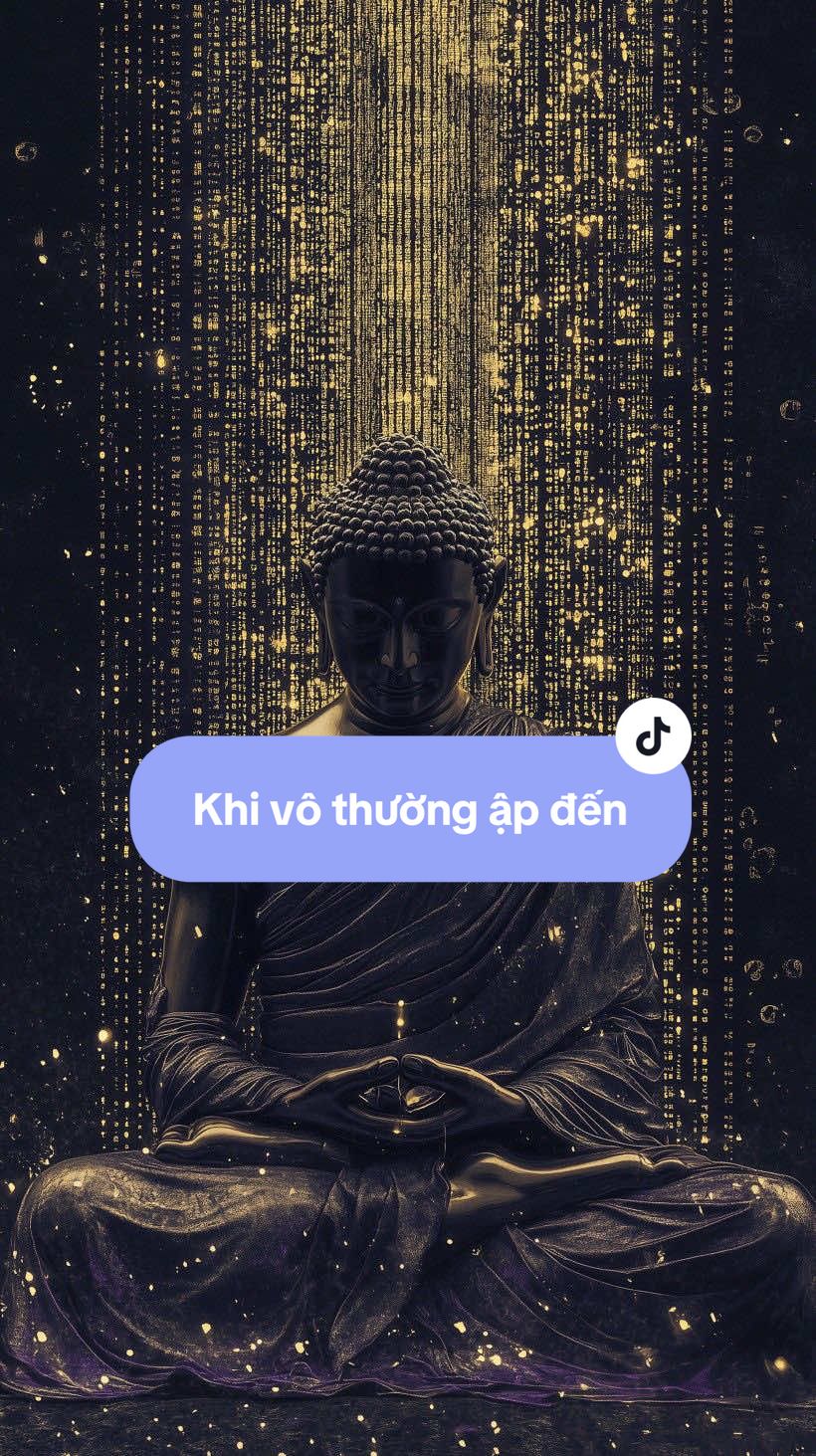 Khi vô thường ập đến…#binhan #tamtrang #phatphapnhiemmau #thuctinh #traitim #xh #cs #capcut #camxuc  