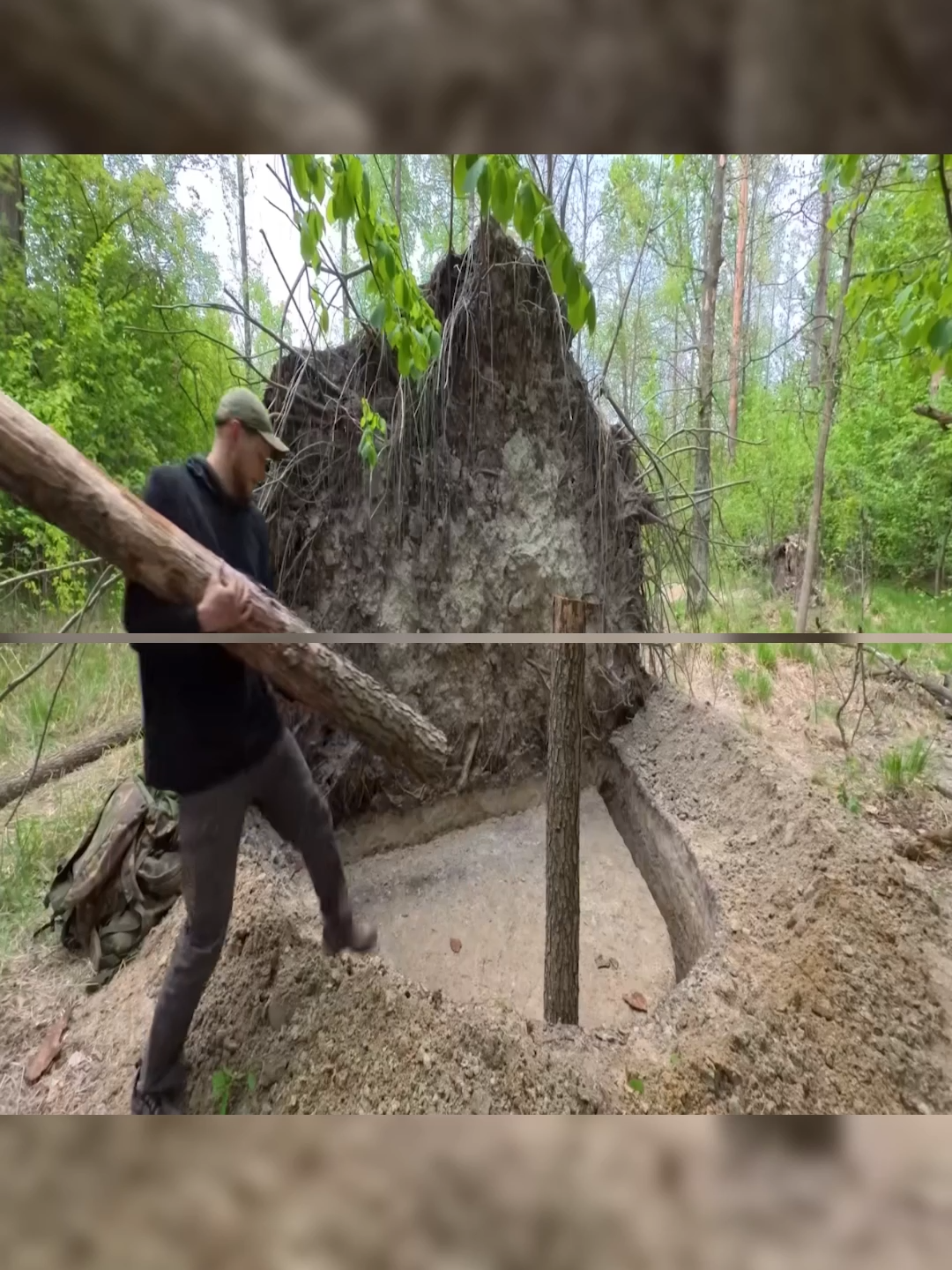 Building a Сozy Shelter Under an Oak Root. Part 1 #bushcraft #Outdoors #outdoor #camping #build #shelter #viral #fyp