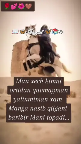 #creatorsearchinsights  🤎🌺💕🌹 Xusnor 🦋