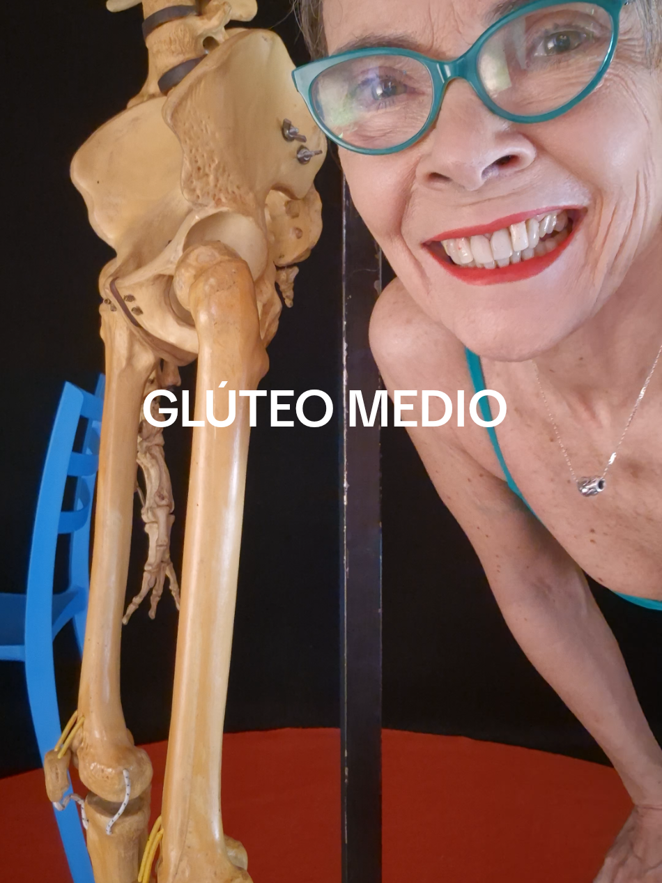 Glúteo medio  #veronicalercari #danza #kiné #fisioterapia #fitnessmujer #Fitness #fit #gimnasiaencasa #deportes #kinesiologia #terapiafísica #traumatologia #pilates #danza #yoga #yogaflow #salud #deportes #gimnasiaverler #cuerpohumano #veronicalercari #verler 