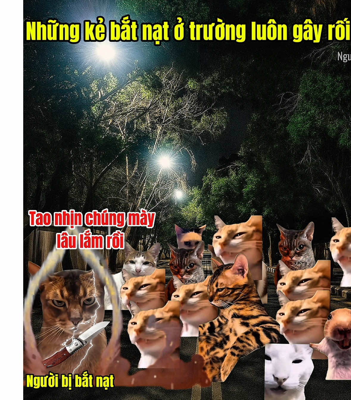 Những kẻ bắt nạt ở trường luôn gây rối tôi #meme #catmeme 