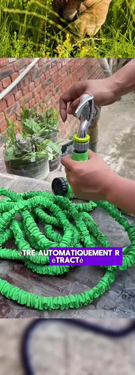🚿🌿 Ce tuyau d’arrosage extensible avec pistolet rend l’arrosage et le nettoyage plus simples que jamais ! 💪 Idéal pour arroser les fleurs et le potager, laver la voiture ou la terrasse—léger, puissant et facile à ranger ! 🚗🧽 Un indispensable pour chaque maison ! #AstucesJardin #LavageVoiture #EssentielsMaison #ArrosageFacile #NettoyageExtérieur #TuyauExtensible #TikTokMadeMeBuyIt #PourLesAmoureuxDesPlantes #PourLesPropriétaires #ViePratique