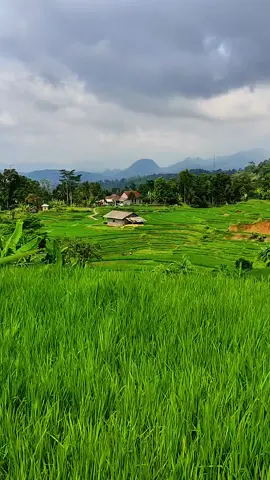 #suasanapedesaan #popsunda #vibessunda #jawabarat #sundapride🔥 