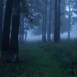 вот фон кто просил#нестаралась✌️👍 