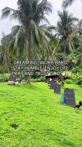 #fyp #manok #farmlife 