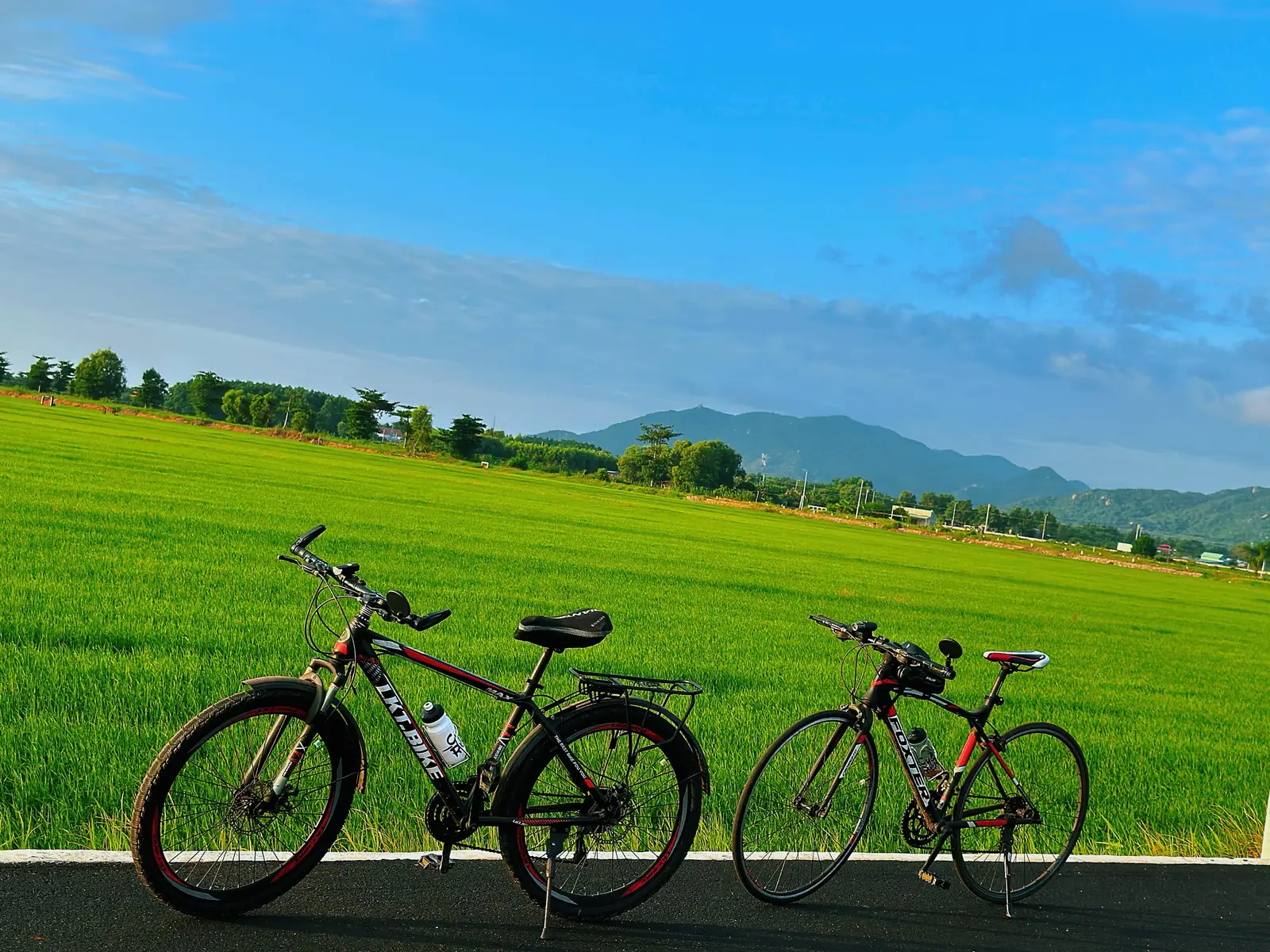 Mỗi ngày khi mặc trời thức dậy, sự sống như bắt đầu lại 🍀#binhyen #thiennhien #yenbinh #anyen #